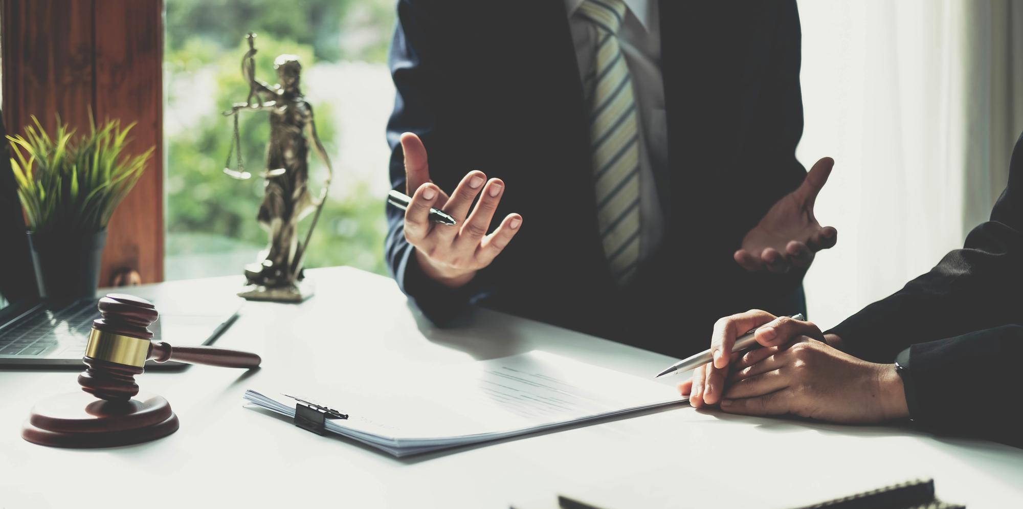 Legal dispute resolution specialist handling court representation and litigation support cases